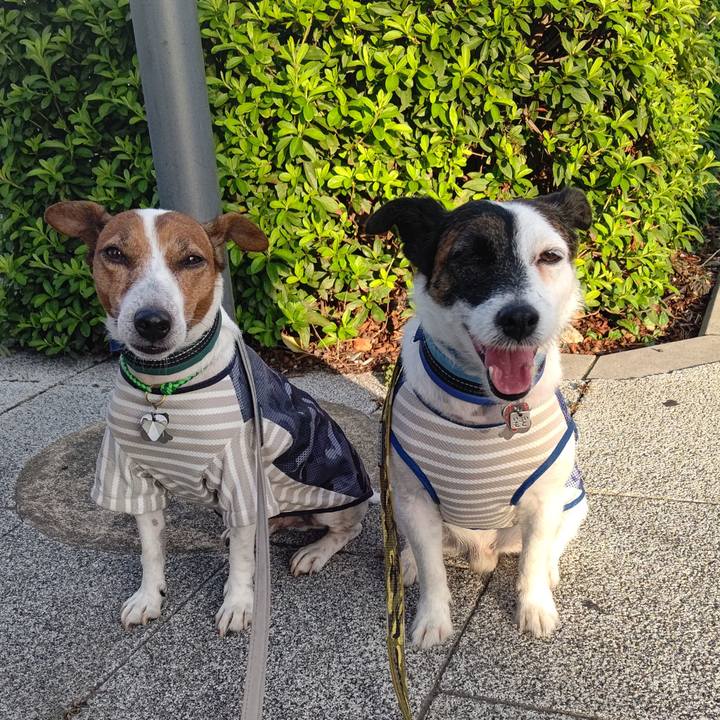 8d115919 b8f9 46a2 ba1a f2c30e94dd26 1695940369313