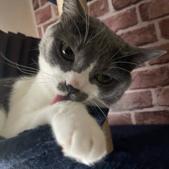 8d116de3 3f3d 427d 9d15 7a96d4456753 1626340895123