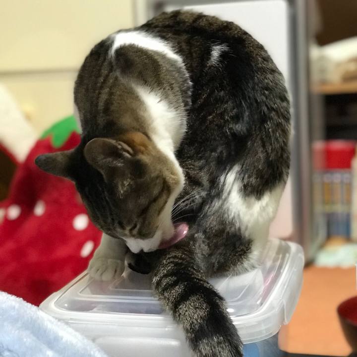 8d117a5c efb1 42b5 959f 23f1d8600ac6 1517622126441