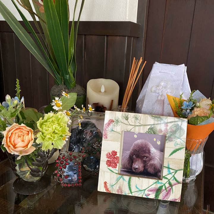 8d11c0c0 5757 4131 9ace 07ff61763c68 1766804787704