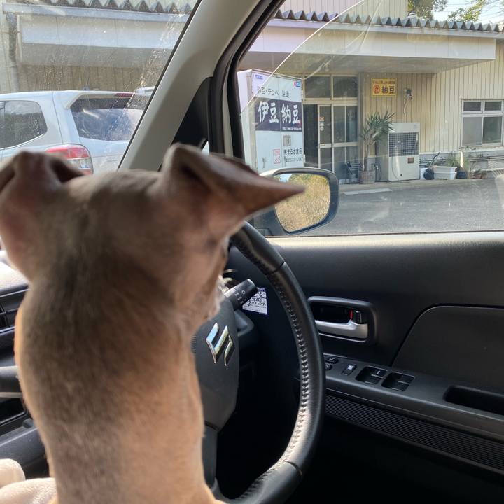 8d11ce14 ae2d 447e 8131 6a6b39fddb4f 1762570669331