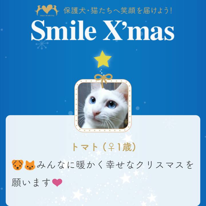 8d11e990 755f 49f9 a8e0 ff9c4fbcb0bb 1544780302172