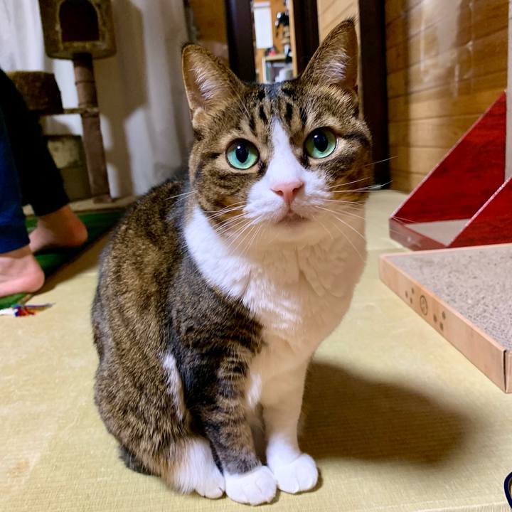 8d11f81d 96f4 41ea bd6f 872f636dde4d 1637667235579