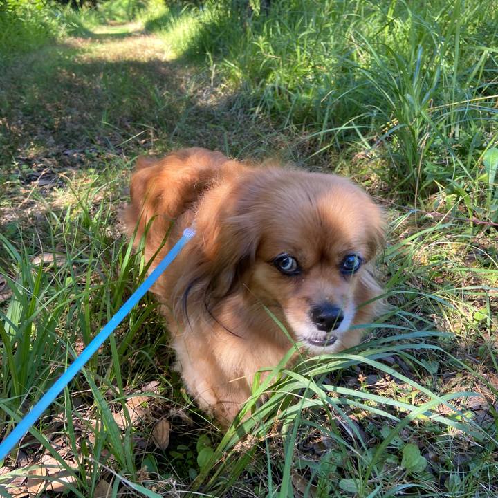 8d11f84b 81bd 4571 af38 aeee0f534dca 1659140172605