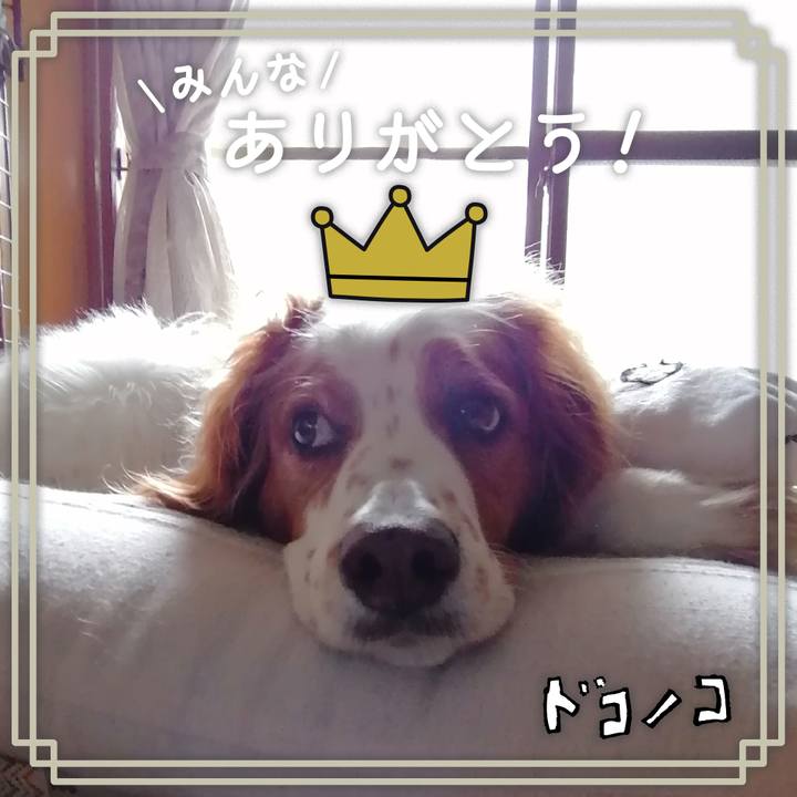 8d11fc8f 8baa 4290 9456 5d0176659a3e 1622868986296