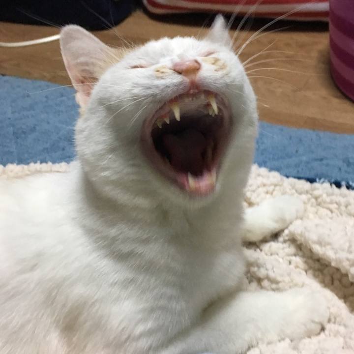 8d120126 abec 416b 9e9d 919e8174fdb5 1560352605659