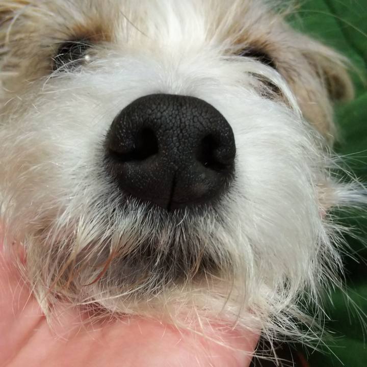 8d120c49 a077 482d acfe c9ed4f07d75a 1523455857013