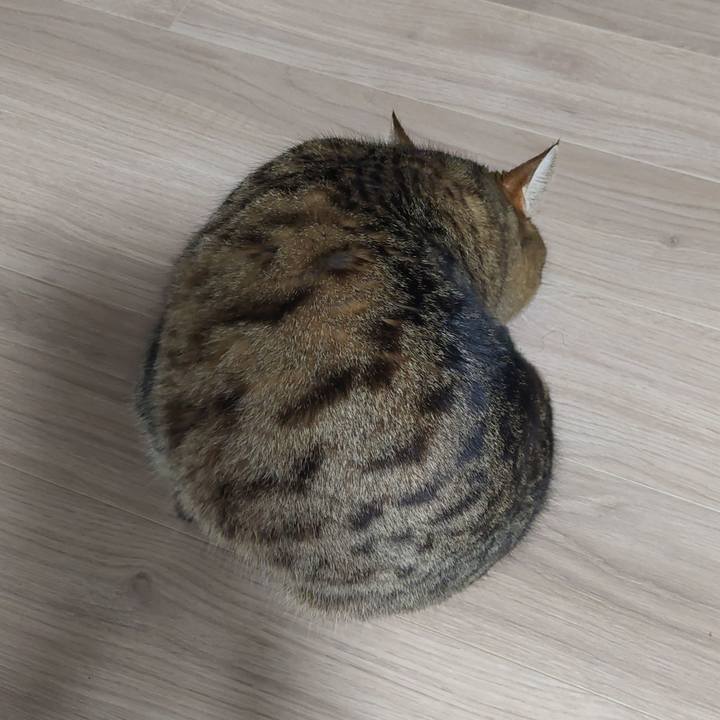 8d121539 3e14 4c21 a5a4 53427e62d27e 1636667073848