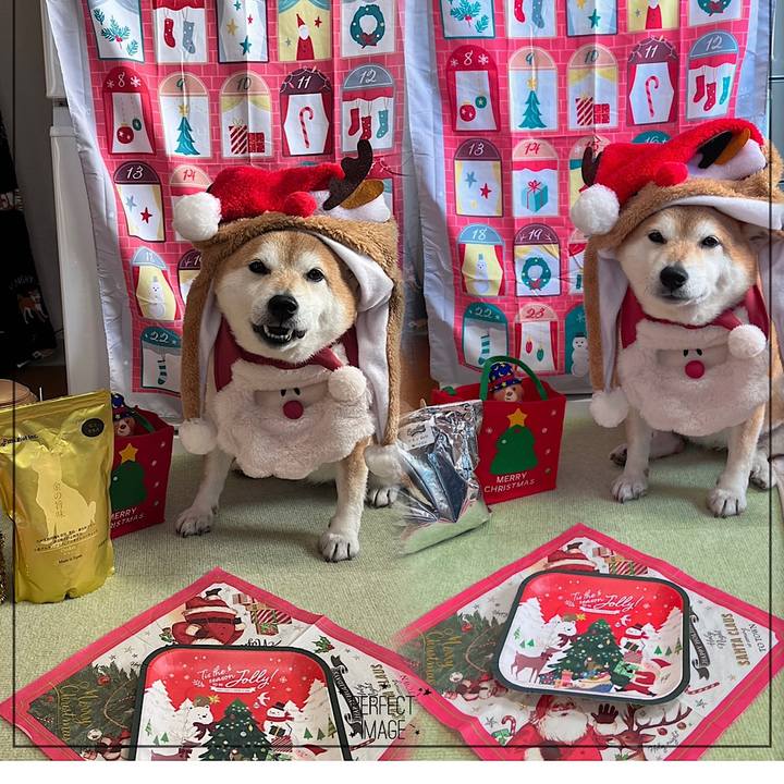 8d125b13 8bf3 49a9 9087 0b658bb70b85 1670815244221