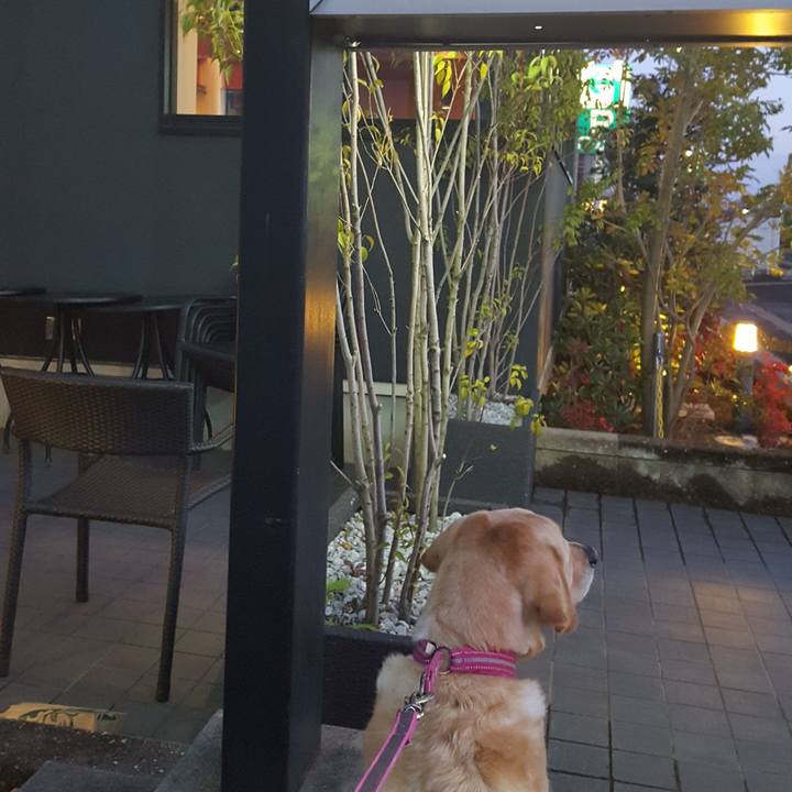 8d12948e 1dfe 481e 8d68 d69371505da5 1515491569538