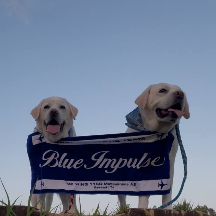 8d12b5ab 8b91 4dd3 9a09 d4cb6c9df60d 1764222578037