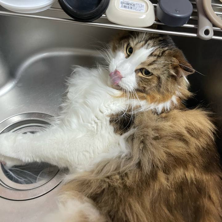 8d130b09 d29c 403a be8d 6b783e978aa9 1703791863095