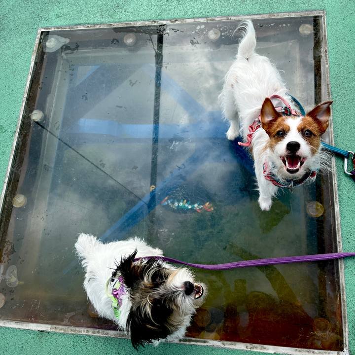 8d132a15 11db 41cf 9664 1a1a5ffec568 1760259205218