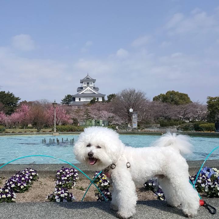 8d13359d 85f3 421d 9832 910e6f0a2721 1774907891777