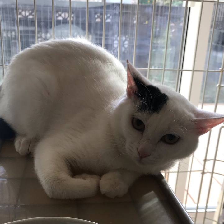 8d135a71 150a 40c3 b1e6 bde9b7e3b4ad 1551605914596