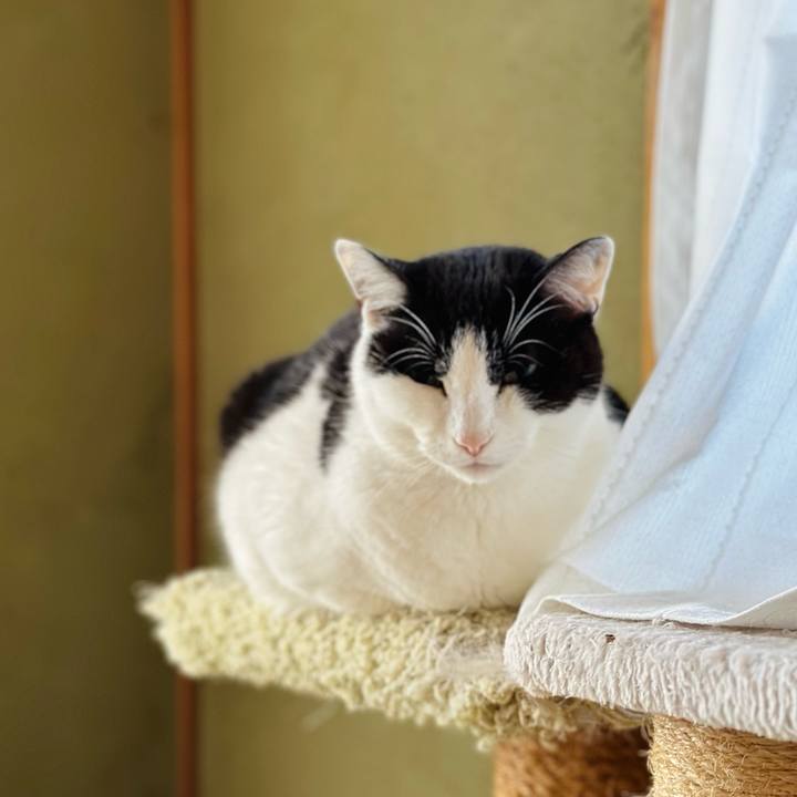 8d136f1b 0814 451e 8ff3 baf3175e296c 1676512459799