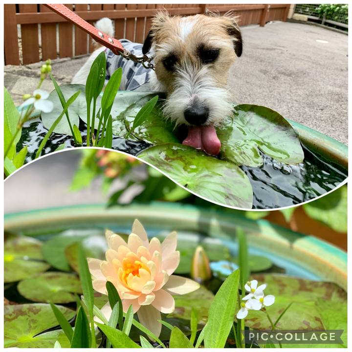 8d13d259 5451 474d bb58 483f41be7df0 1622721830957