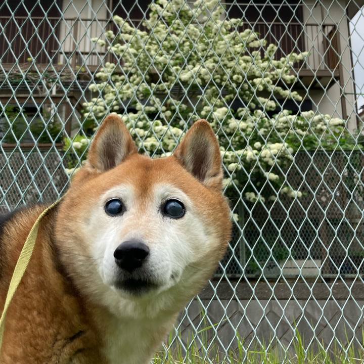 8d13f733 f08b 4d4a b6d1 08eeaf4ea715 1713832174625