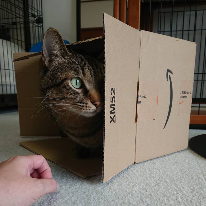 8d14006e 0408 4352 be8c 8e7f7b9b658d 1604369780486