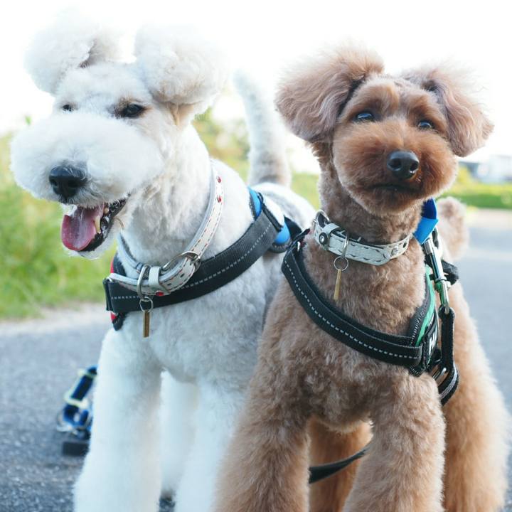 8d140423 d994 41d5 9f52 84046481ac75 1528553050550