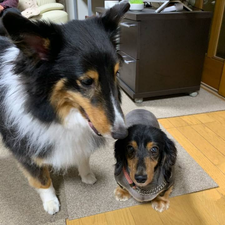 8d142b94 c397 4c03 9e55 71f1eb59395c 1592340251429