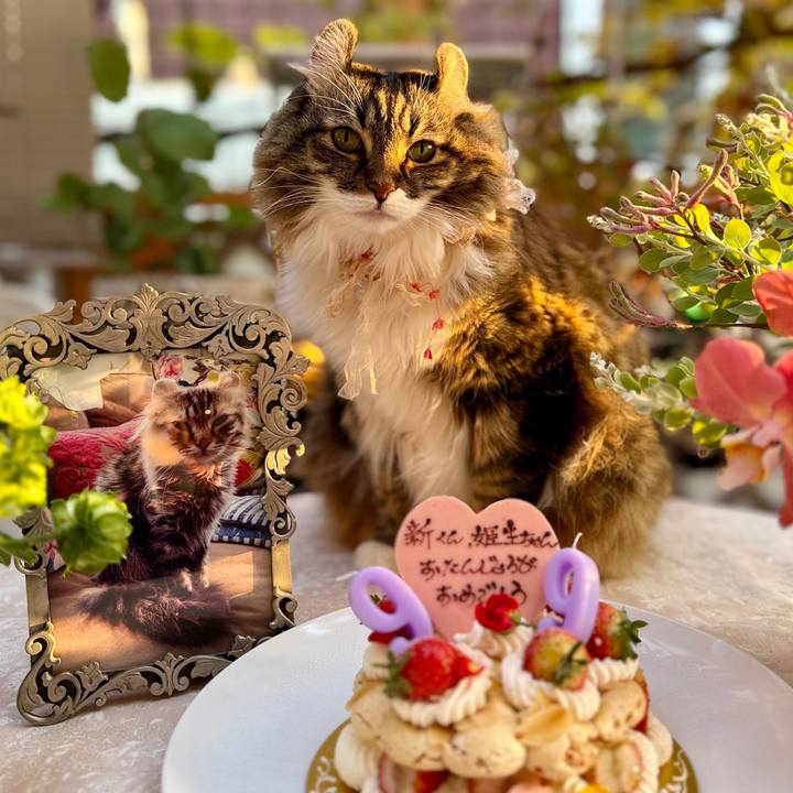 8d1435b8 3bf1 4b6f b5cb 863863496e77 1764506543821