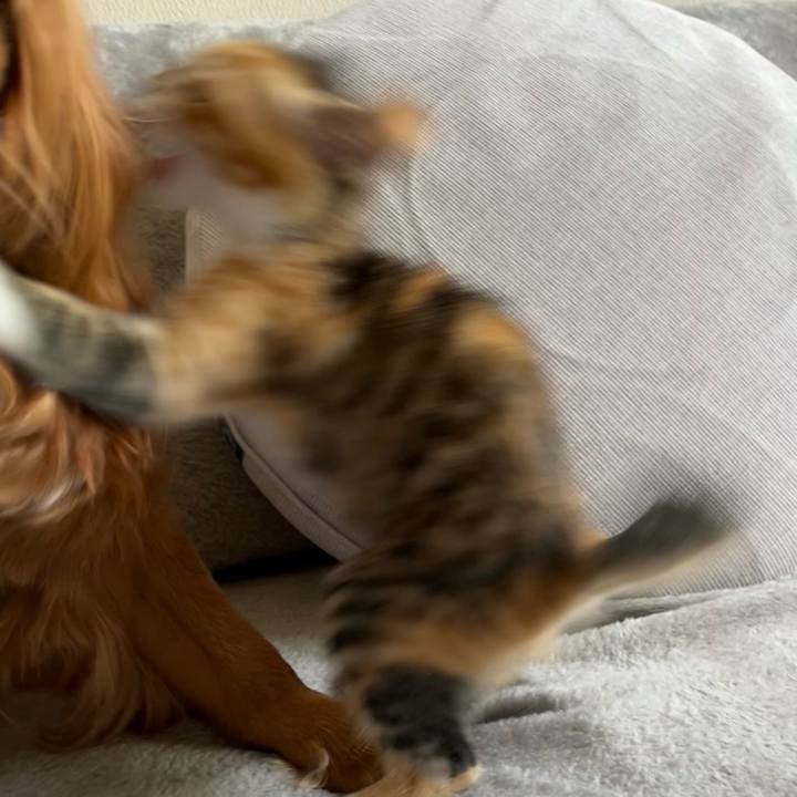 8d143c7c c407 4354 8b21 48a7e2f60e68 1651993295679