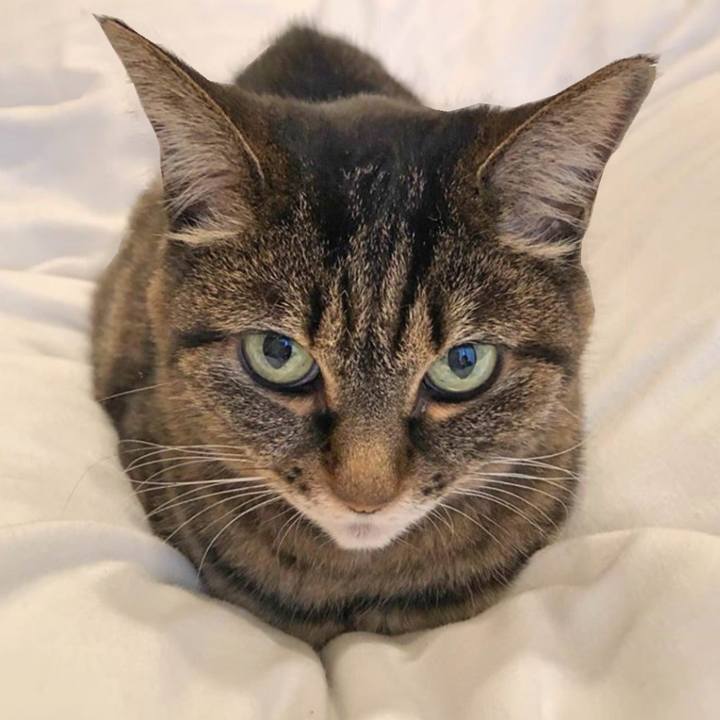 8d149550 5921 4a74 a6b8 010d49072d43 1765072722009