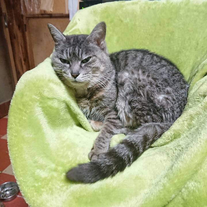 8d149945 ea6e 4b82 90f8 0d35239d7e81 1584010639180