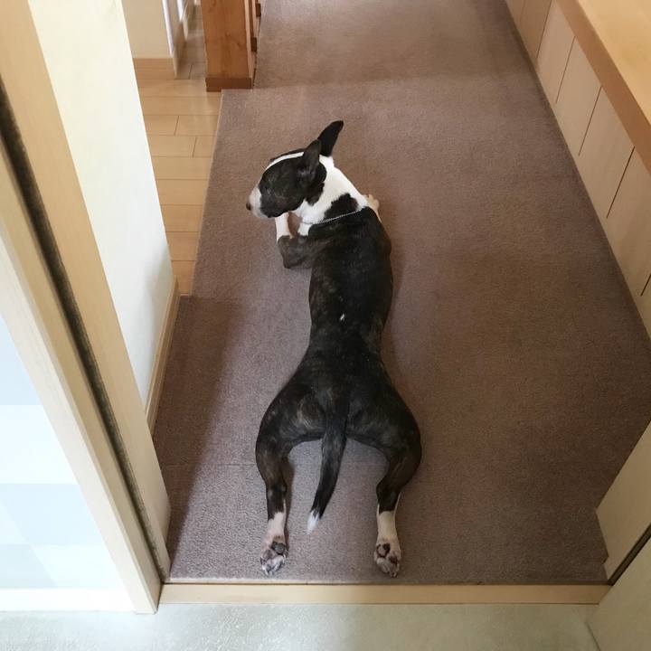 8d14da4c 49c0 455b bef5 6316058a2158 1527838138382