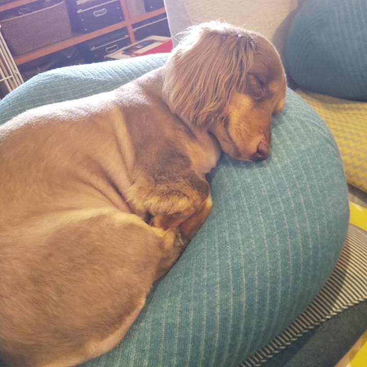 8d14db4e e6c1 4d0d 8cb8 ffac440a71fb 1596265160525