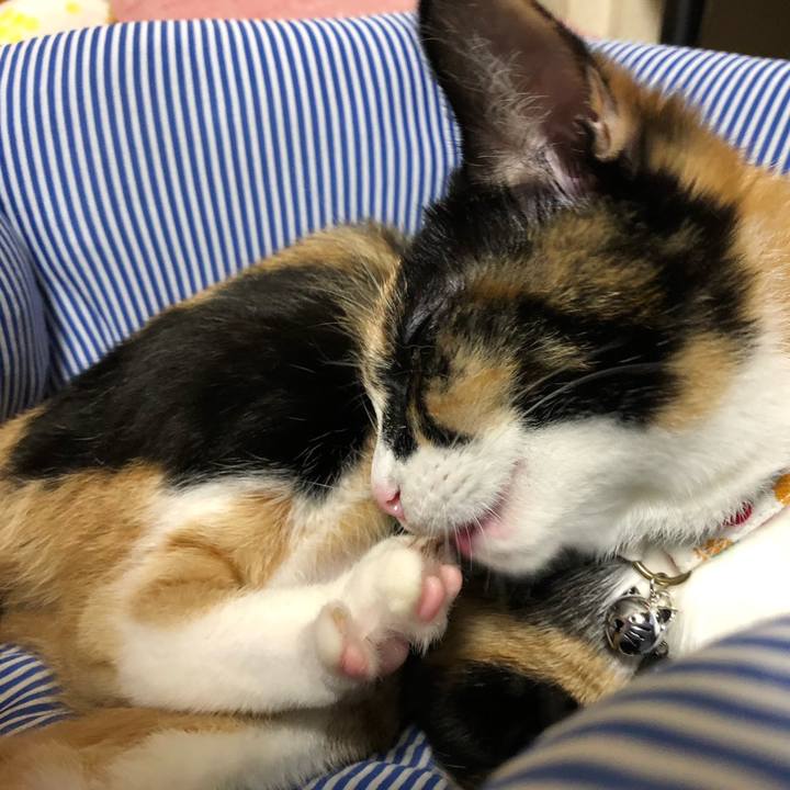 8d15094d 935f 42ed 88a3 a325cfc76157 1562842172060