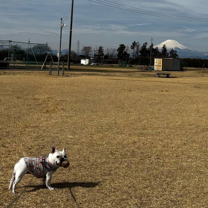 8d152ce2 ef3b 4bf3 a533 0574a63517ca 1772318582925