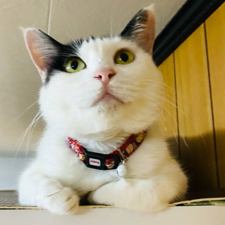 8d156145 a287 4603 a836 c5aaa34a7e29 1658062566766