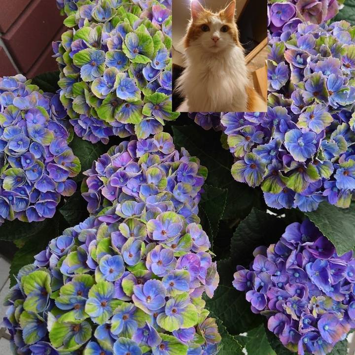 8d157287 858e 458a bb6c d19dc0f4626c 1622029860656