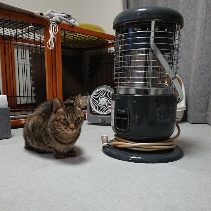 8d157c30 4dc0 47d0 8afe 8fc015b8d90d 1573401546639