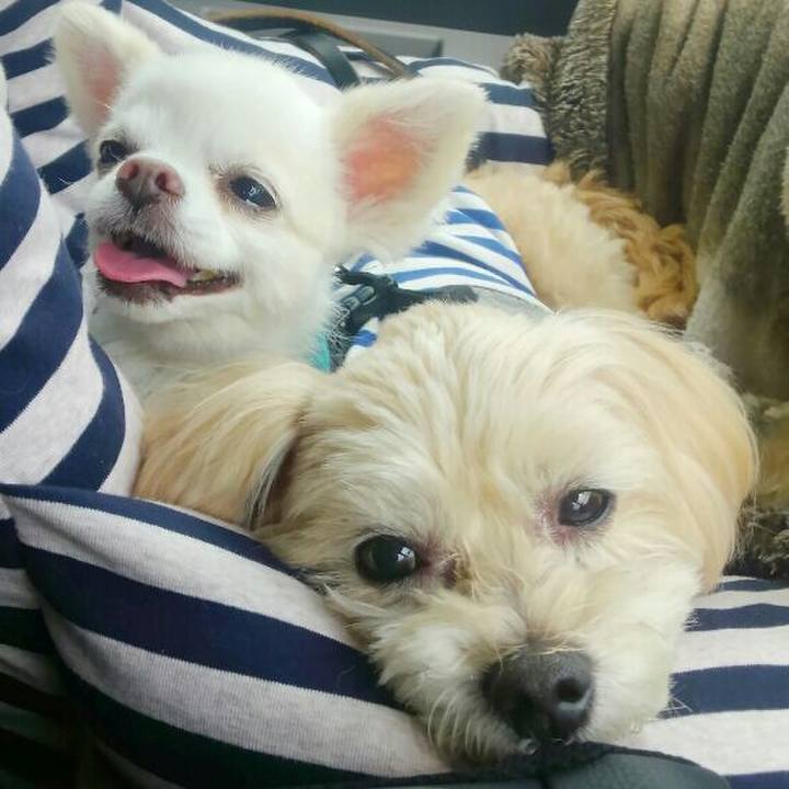 8d15c6c5 30de 4d44 a972 64f3c9a89ef9 1555496686915