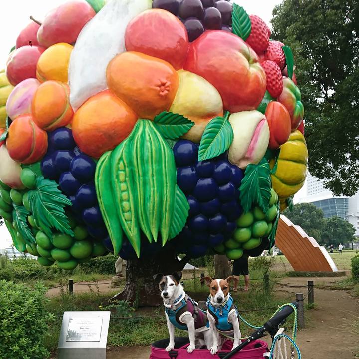 8d15e6f3 bdb6 4ad2 85f7 4592030e404a 1601770969266