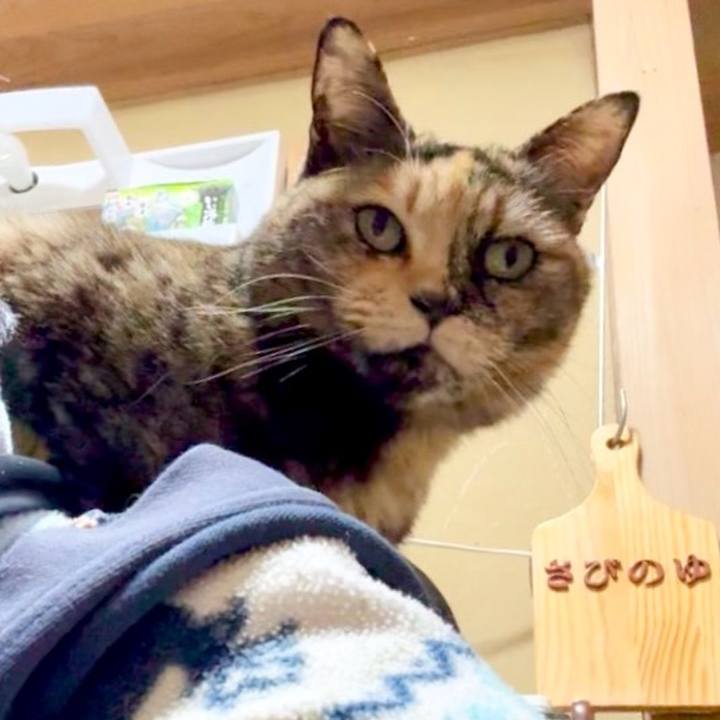 8d15ea96 bce1 4bcd b114 e221844fde4e 1769081720657