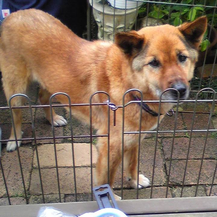 8d1608f1 08b2 45e2 b4ac aa47cd53c9ff 1621496897357