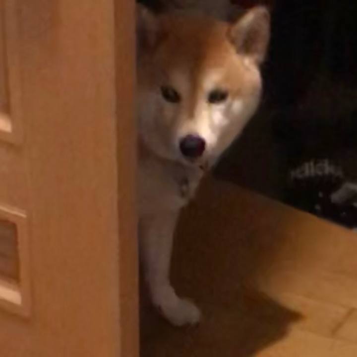 8d16771a 28df 4b0b befc ec26d100b75f 1549295690862