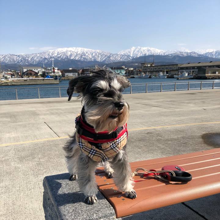 8d16a90a c293 4905 9f62 8c30ceffa77e 1582547089258