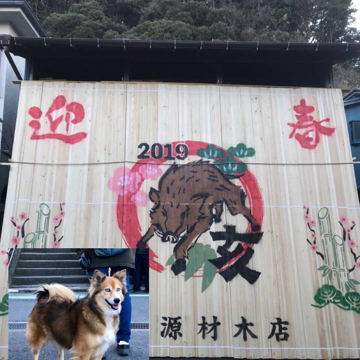 8d16bcc2 5e8c 4705 b543 297c30e5d922 1577881181767