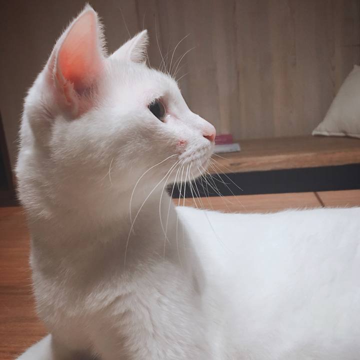 8d16dd4a d83d 4c53 9567 3743d9971bfa 1562943638831