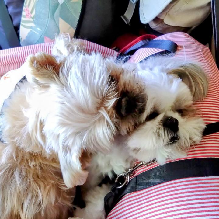 8d16e33c c539 4354 8ec5 0f318469066e 1727749108162