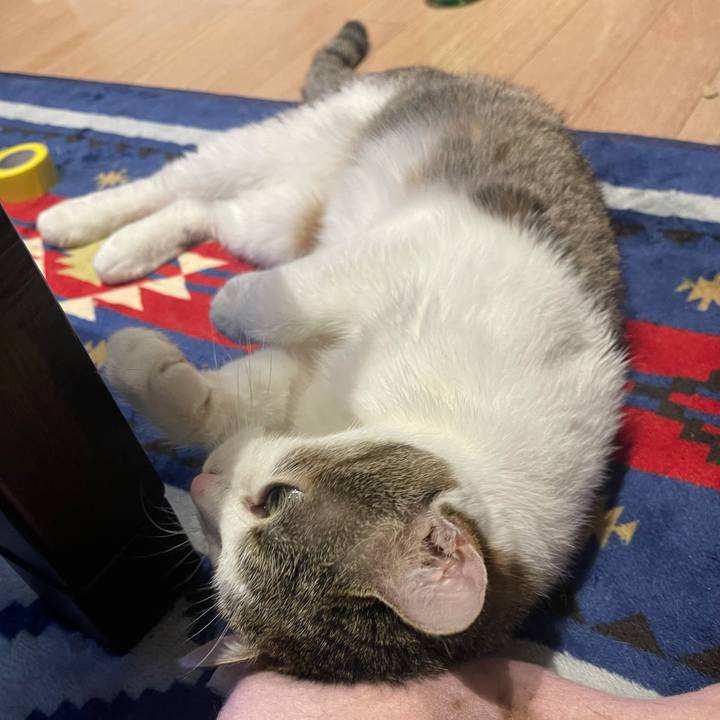 8d171a04 27e5 4f73 8762 b9205d52b7a5 1625312846390