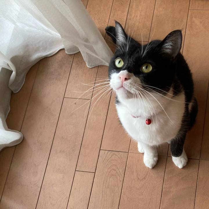 8d173f4d f026 4bc4 bfca 68e25905973e 1624158940041