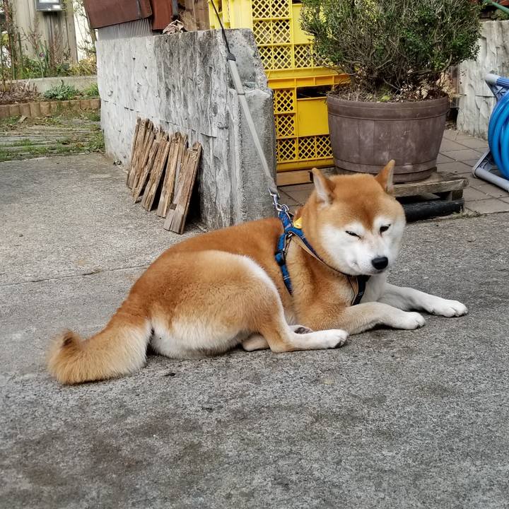 8d176cd4 30dd 4518 b1fa b0c5cf51f81f 1541565936691