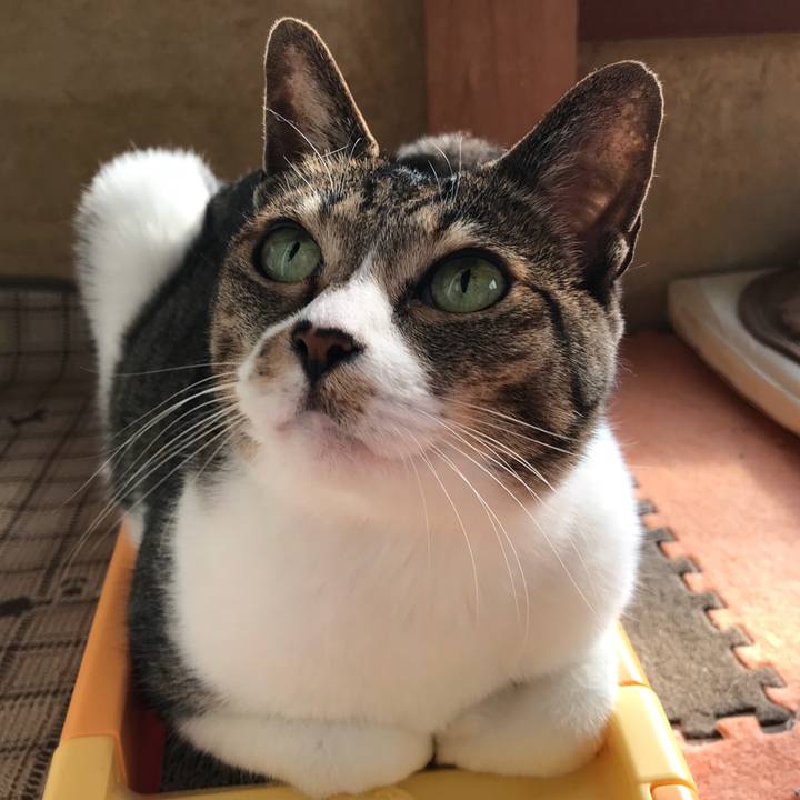 8d179344 6e69 4a54 8157 5eabeb34c938 1519693381128