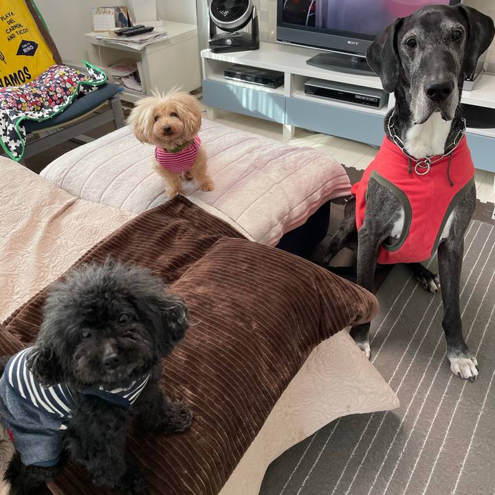 8d179618 7b3b 42ae 80e7 05b31ca9c8b8 1617749995485